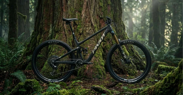 The Pivot Switchblade resting against a redwood tree in a misty forest.